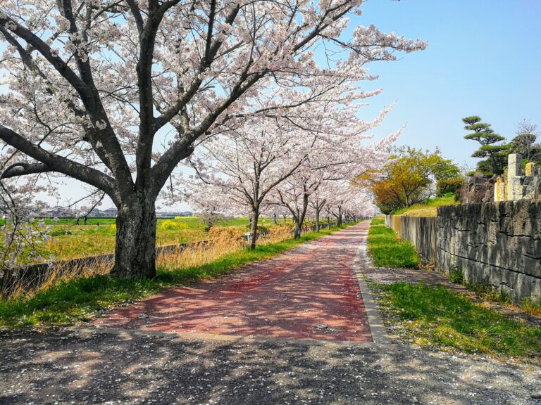 IMG_20180403_110350-EFFECTS